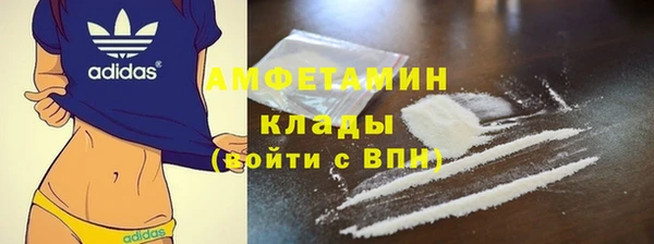ПСИЛОЦИБИНОВЫЕ ГРИБЫ Абаза