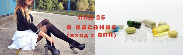 ПСИЛОЦИБИНОВЫЕ ГРИБЫ Абаза