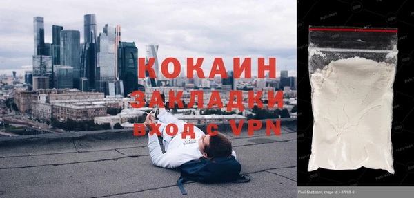 ПСИЛОЦИБИНОВЫЕ ГРИБЫ Абаза